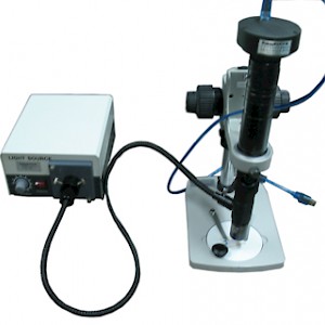 MZX90超高倍无限远光学校正系统数码显微镜