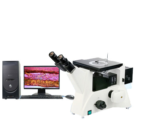 11XD-PC 科研级金相显微镜（明暗场）