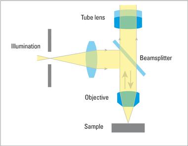 徕卡显微镜如何观察金属和合金的显微结构特征