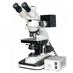 LW200-4JT高清晰正置金相显微镜