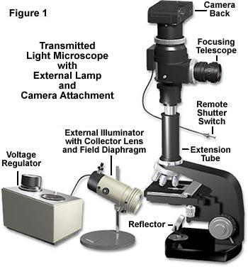 首次使用带有柯勒照明的显微镜应如何调试