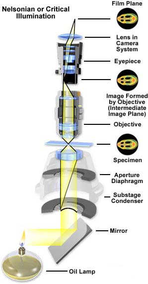 光学显微镜关键组件-照明光源的发展及样式