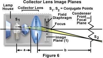 奥林巴斯光学显微镜剖析结构