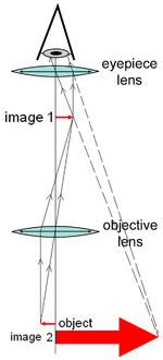 显微镜的结构图