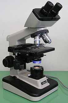 显微镜的结构图