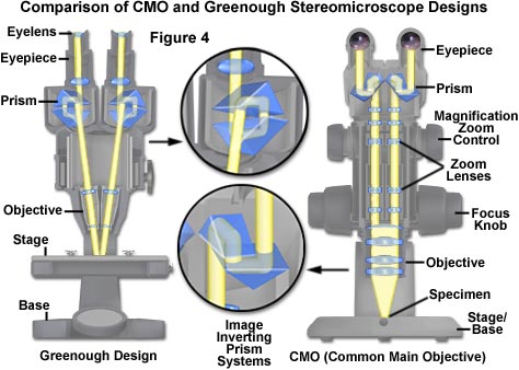 尼康显微镜什么是格里诺光学系统？