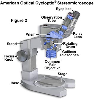 尼康显微镜什么是格里诺光学系统？