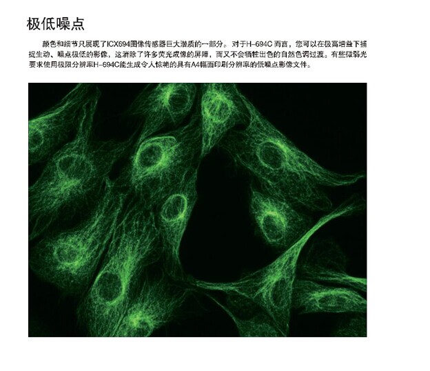 科学机工业CCD相机