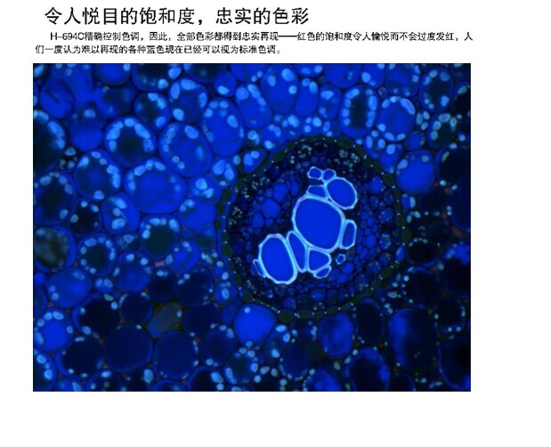 科学机工业CCD相机