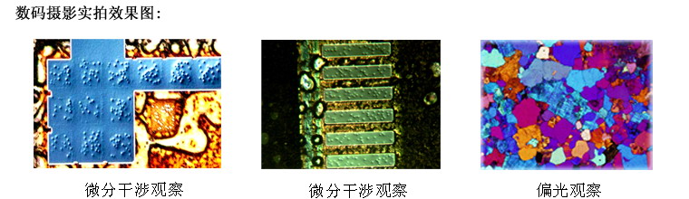 XTL302-DIC微分干涉相衬金相显微镜